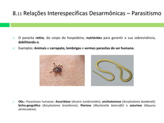8.11 Relações Interespecíficas Desarmônicas – Parasitismo 
 O parasita retira, do corpo do hospedeiro, nutrientes para garantir a sua sobrevivência, 
debilitando-o. 
 Exemplos: Animais e carrapato, lombrigas e vermes parasitas do ser humano. 
 Obs.: Parasitoses humanas: Ascaridíase (Ascaris lumbricoides); ancilostomose (Ancylostoma duodenali); 
bicho-geográfico (Ancylostoma braziliensis), filaríose (Wucherelia bancrofti) e oxiuriose (Oxyurus 
vermiculares). 
 