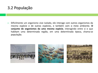 3.2 População 
 Dificilmente um organismo vive isolado, ele interage com outros organismos da 
mesma espécie e de outras espécies, e também com o meio ambiente. O 
conjunto de organismos da uma mesma espécie, interagindo entre si e que 
habitam uma determinada região, em uma determinada época, chama-se 
população. 
 