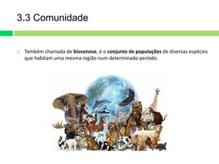 3.3 Comunidade 
 Também chamada de biocenose, é o conjunto de populações de diversas espécies 
que habitam uma mesma região num determinado período. 
 