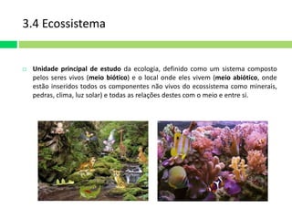 3.4 Ecossistema 
 Unidade principal de estudo da ecologia, definido como um sistema composto 
pelos seres vivos (meio biótico) e o local onde eles vivem (meio abiótico, onde 
estão inseridos todos os componentes não vivos do ecossistema como minerais, 
pedras, clima, luz solar) e todas as relações destes com o meio e entre si. 
 