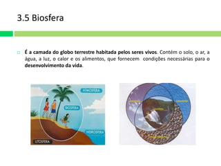 3.5 Biosfera 
 É a camada do globo terrestre habitada pelos seres vivos. Contém o solo, o ar, a 
água, a luz, o calor e os alimentos, que fornecem condições necessárias para o 
desenvolvimento da vida. 
 