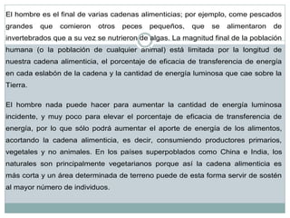 El hombre es el final de varias cadenas alimenticias; por ejemplo, come pescados grandes que comieron otros peces pequeños, que se alimentaron de invertebrados que a su vez se nutrieron de algas. La magnitud final de la población humana (o la población de cualquier animal) está limitada por la longitud de nuestra cadena alimenticia, el porcentaje de eficacia de transferencia de energía en cada eslabón de la cadena y la cantidad de energía luminosa que cae sobre la Tierra. El hombre nada puede hacer para aumentar la cantidad de energía luminosa incidente, y muy poco para elevar el porcentaje de eficacia de transferencia de energía, por lo que sólo podrá aumentar el aporte de energía de los alimentos, acortando la cadena alimenticia, es decir, consumiendo productores primarios, vegetales y no animales. En los países superpoblados como China e India, los naturales son principalmente vegetarianos porque así la cadena alimenticia es más corta y un área determinada de terreno puede de esta forma servir de sostén al mayor número de individuos.  