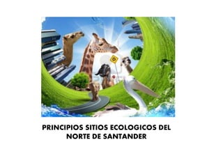 PRINCIPIOS SITIOS ECOLOGICOS DEL
NORTE DE SANTANDER
 