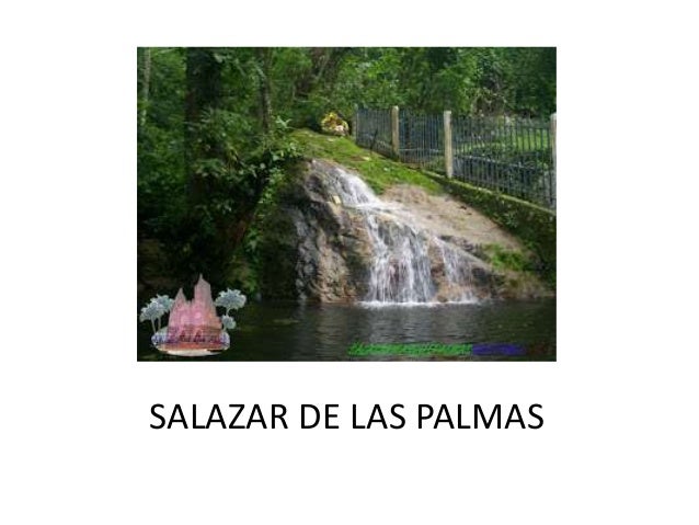 Resultado de imagen para imagenes del parque de salazar de las palmas