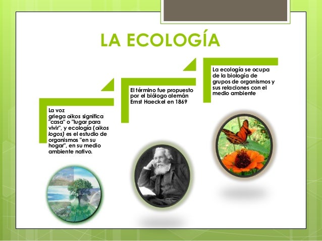 Ecologia