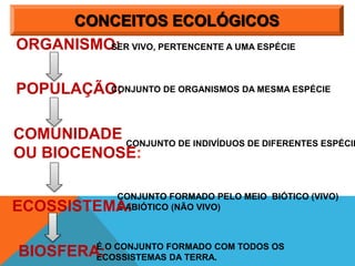 CONCEITOS ECOLÓGICOS
POPULAÇÃO:CONJUNTO DE ORGANISMOS DA MESMA ESPÉCIE
CONJUNTO DE INDIVÍDUOS DE DIFERENTES ESPÉCIE
CONJUNTO FORMADO PELO MEIO BIÓTICO (VIVO)
E ABIÓTICO (NÃO VIVO)
É O CONJUNTO FORMADO COM TODOS OS
ECOSSISTEMAS DA TERRA.
COMUNIDADE
OU BIOCENOSE:
ECOSSISTEMA:
BIOSFERA:
ORGANISMO:SER VIVO, PERTENCENTE A UMA ESPÉCIE
 