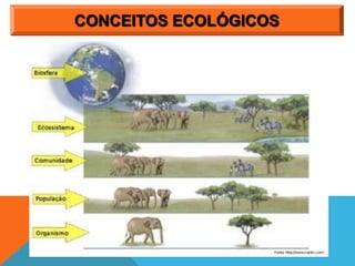 CONCEITOS ECOLÓGICOS
 