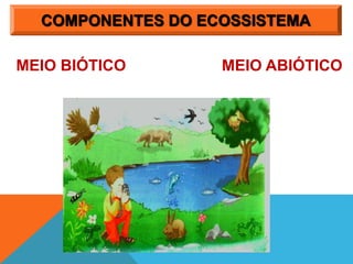 COMPONENTES DO ECOSSISTEMA
MEIO BIÓTICO MEIO ABIÓTICO
 