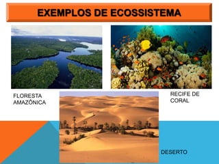 EXEMPLOS DE ECOSSISTEMA
FLORESTA
AMAZÔNICA
RECIFE DE
CORAL
DESERTO
 