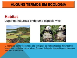 ALGUNS TERMOS EM ECOLOGIA
Habitat
Lugar na natureza onde uma espécie vive.
O habitat da planta vitória régia são os lagos e as matas alagadas da Amazônia,
enquanto o habitat do panda são as florestas de bambu das regiões montanhosas
na China e no Vietnã.
 