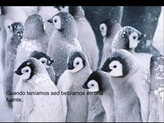 Cuando teníamos sed bebíamos en una
fuente,
 