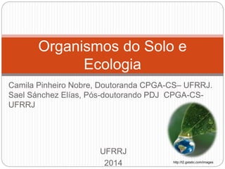 Camila Pinheiro Nobre, Doutoranda CPGA-CS– UFRRJ.
Sael Sánchez Elías, Pós-doutorando PDJ CPGA-CS-
UFRRJ
UFRRJ
2014
Organismos do Solo e
Ecologia
http://t2.gstatic.com/images
 