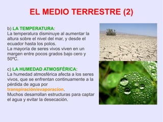 b) LA TEMPERATURA:
La temperatura disminuye al aumentar la
altura sobre el nivel del mar, y desde el
ecuador hasta los polos.
La mayoría de seres vivos viven en un
margen entre pocos grados bajo cero y
50ºC.
c) LA HUMEDAD ATMOSFÉRICA:
La humedad atmosférica afecta a los seres
vivos, que se enfrentan continuamente a la
pérdida de agua por
transpiración/evaporacíon.
Muchos desarrollan estructuras para captar
el agua y evitar la desecación.
EL MEDIO TERRESTRE (2)
 