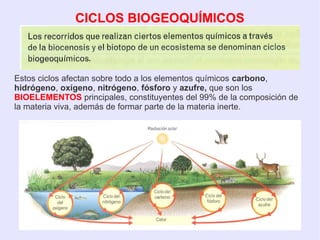 CICLOS BIOGEOQUÍMICOS
Estos ciclos afectan sobre todo a los elementos químicos carbono,
hidrógeno, oxígeno, nitrógeno, fósforo y azufre, que son los
BIOELEMENTOS principales, constituyentes del 99% de la composición de
la materia viva, además de formar parte de la materia inerte.
 