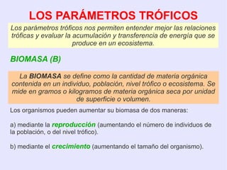 LOS PARÁMETROS TRÓFICOS
BIOMASA (B)
Los parámetros tróficos nos permiten entender mejor las relaciones
tróficas y evaluar la acumulación y transferencia de energía que se
produce en un ecosistema.
Los organismos pueden aumentar su biomasa de dos maneras:
a) mediante la reproducción (aumentando el número de individuos de
la población, o del nivel trófico).
b) mediante el crecimiento (aumentando el tamaño del organismo).
La BIOMASA se define como la cantidad de materia orgánica
contenida en un individuo, población, nivel trófico o ecosistema. Se
mide en gramos o kilogramos de materia orgánica seca por unidad
de superficie o volumen.
 