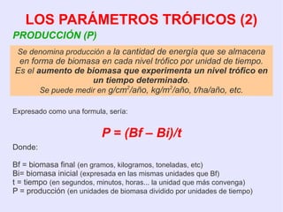 Se denomina producción a la cantidad de energía que se almacena
en forma de biomasa en cada nivel trófico por unidad de tiempo.
Es el aumento de biomasa que experimenta un nivel trófico en
un tiempo determinado.
Se puede medir en g/cm2
/año, kg/m2
/año, t/ha/año, etc.
LOS PARÁMETROS TRÓFICOS (2)
PRODUCCIÓN (P)
P = (Bf – Bi)/t
Expresado como una formula, sería:
Donde:
Bf = biomasa final (en gramos, kilogramos, toneladas, etc)
Bi= biomasa inicial (expresada en las mismas unidades que Bf)
t = tiempo (en segundos, minutos, horas... la unidad que más convenga)
P = producción (en unidades de biomasa dividido por unidades de tiempo)
 