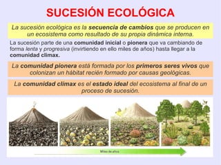 SUCESIÓN ECOLÓGICA
La sucesión ecológica es la secuencia de cambios que se producen en
un ecosistema como resultado de su propia dinámica interna.
La sucesión parte de una comunidad inicial o pionera que va cambiando de
forma lenta y progresiva (invirtiendo en ello miles de años) hasta llegar a la
comunidad climax.
La comunidad clímax es el estado ideal del ecosistema al final de un
proceso de sucesión.
La comunidad pionera está formada por los primeros seres vivos que
colonizan un hábitat recién formado por causas geológicas.
 