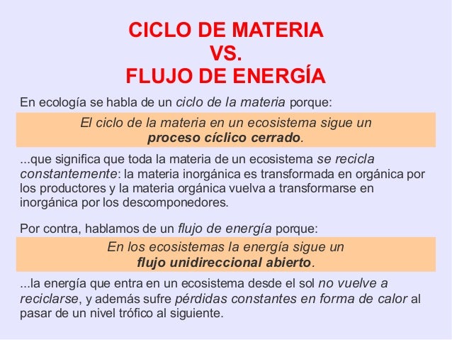 4ºESO Ecologia