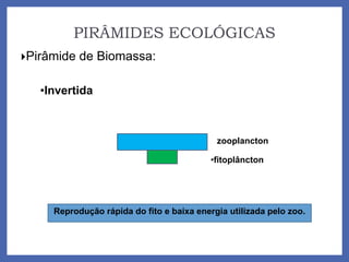 PIRÂMIDES ECOLÓGICAS
Pirâmide de Biomassa:
•Invertida
•fitoplâncton
zooplancton
Reprodução rápida do fito e baixa energia utilizada pelo zoo.
 