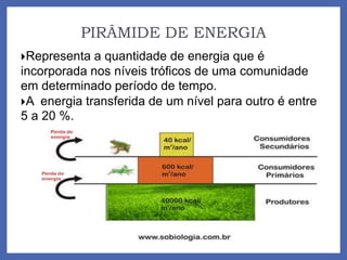 PIRÂMIDE DE ENERGIA
Representa a quantidade de energia que é
incorporada nos níveis tróficos de uma comunidade
em determinado período de tempo.
A energia transferida de um nível para outro é entre
5 a 20 %.
 