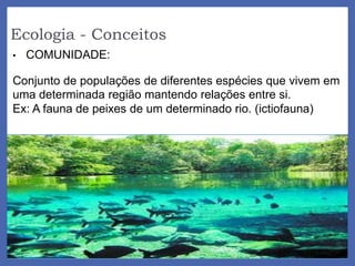Ecologia - Conceitos
• COMUNIDADE:
Conjunto de populações de diferentes espécies que vivem em
uma determinada região mantendo relações entre si.
Ex: A fauna de peixes de um determinado rio. (ictiofauna)
 