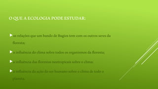 OQUEAECOLOGIAPODEESTUDAR:
asrelaçõesqueumbandodeBugiostemcomosoutrosseresda
floresta;
ainfluênciadoclimasobretodososorganismosdafloresta;
ainfluênciadasflorestasneotropicaissobreoclima;
ainfluênciadaaçãodoserhumanosobreoclimadetodoo
planeta.
 