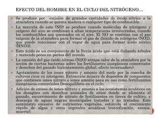  Se produce por emisión de grandes cantidades de óxido nítrico a la
atmósfera cuando se quema madera o cualquier tipo de combustible.
 La mayoría de este (NO) se produce cuando moléculas de nitrógeno y
oxígeno del aire se combinan a altas temperaturas involucradas, cuando
los combustibles son quemados en el aire. El NO se combina con el gas
oxígeno de la atmósfera para formar el gas de dióxido de nitrógeno (NO2),
que puede reaccionar con el vapor de agua para formar ácido nítrico
(HNO3).
 Este ácido es un componente de la lluvia ácida que está dañando árboles
y matando peces en partes del mundo.
 La emisión del gas óxido nitroso (N2O) atrapa calor de la atmósfera por la
acción de ciertas bacterias sobre los fertilizantes inorgánicos comerciales
y desechos del ganado (calentamiento global, efecto invernadero).
 Agotamiento de los iones nitrato y amonio del suelo por la cosecha de
cultivos ricos en nitrógeno. Extracción minera de depósitos de compuestos
que contienen iones nitrato e iones amonio para su uso como fertilizantes
inorgánicos comerciales Desequilibrio en el ciclo.
 Adición de exceso de iones nitrato y amonio a los ecosistemas acuáticos en
los desagües con desechos animales de sitios donde se alimenta el
ganado, escurrimiento de nitrato de fertilizantes en tierra de cultivo, y
descarga de aguas negras municipales tratadas y no tratadas. Este
suministro excesivo de nutrientes vegetales, estimula el crecimiento
rápido de algas y otros vegetales acuáticos (eutrofización, anoxia,
muerte).
 