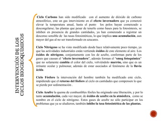 Ciclo Carbono han sido modificado con el aumento de dióxido de carbono
atmosférico, este un gas interviniente en el efecto invernadero que ya comenzó
elevar la temperatura anual, hasta el punto los polos hayan comenzado a
descongelarse; las plantas que pesar de tenerlo como bases para la fotosíntesis, se
inhiben en presencia de grandes cantidades, ya han comenzado a registrar un
descenso sensible de las tasas fotosintéticas, lo que implica una acumulación, aun
mayor del gas al no ser transformado en azucares.
Ciclo Nitrógeno se ha visto modificado desde hace relativamente poco tiempo, ya
que las actividades industriales están vertiendo óxidos de este elemento al aire. Los
óxidos de nitrógeno, conjuntamente con los de azufre, conforman parte de los
gases que causan el “efecto invernadero”, además forman el “smog fotoquímico”
que no solamente cambia el color del cielo, volviéndolo marrón, sino que es un
irritante ocular y pulmonar, además de estar asociados al fenómeno de la lluvia
ácida.
Ciclo Fósforo la intervención del hombre también ha modificado este ciclo,
impidiendo que el retorno del fósforo al ciclo en cantidades que compensen lo que
se pierde por sedimentación .
Ciclo Azufre la quema de combustibles fósiles ha originado una liberación, y por lo
tanto acumulación, cada vez mayor, de óxidos de azufre en la atmósfera, como se
nombro en el ciclo de nitrógeno. Estos gases de azufre no sólo participar en los
problemas que ya se aludieron, también inhibe la tasa fotosintética de las plantas.
 