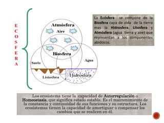La Ecósfera se compone de la
Biosfera capa de vida de la tierra
mas la Hidrosfera, Litosfera y
Atmósfera (agua tierra y aire) que
representan a los componentes
abióticos.
Los ecosistema tiene la capacidad de Autorregulación o
Homeostasis, que significa estado estable. Es el mantenimiento de
la constancia y continuidad de sus funciones y su estructura. Los
ecosistemas tienen la capacidad de amortiguar o compensar los
cambios que se realicen en él.
E
C
O
S
F
E
R
A
 