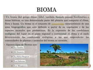  Un bioma (del griego «bios», vida), también llamado paisaje bioclimático o
áreas bióticas, es una determinada parte del planeta que comparte el clima,
flora y fauna. Un bioma es el conjunto de ecosistemas característicos de una
zona biogeográfica que está definido a partir de su vegetación y de las
especies animales que predominan. Es la expresión de las condiciones
ecológicas del lugar en el plano regional o continental: el clima y el suelo
determinarán las condiciones ecológicas a las que responderán las
comunidades de plantas y animales del bioma en cuestión.
 Algunos tipos de Biomas son:
 La Tundra
 El Desierto
 La Selva Tropical
 Las Sabanas
 Los Manglares
 