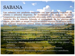 Las sabanas son praderas tropicales con una pequeña cantidad de
árboles o arbustos dispersos. Se desenvuelven en regiones de alta
temperatura, que tienen marcada diferencia entre las estaciones seca y
húmeda. En la estación húmeda el crecimiento de las plantas es
rápido, pero éstas se secan y bajan en calidad durante la estación seca.
Las sabanas tropicales cubren áreas extensas en América del Sur,
África, India, Sudeste Asiático y Australia Septentrional. El
crecimiento animal y vegetal en la sabana tropical, depende de las
distintas alteraciones periódicas. Los grandes animales emigran en
busca de agua, y sus ciclos reproductivos corresponden a la
disponibilidad de crecimiento de nuevas plantas suculentas. Muchos
animales se reúnen en grandes manadas. Es necesario una gran área
de producción fotosintética para alimentar a estos grandes animales.
 Vegetación: Hierbas, árboles dispersos (árboles de copa plana) y
arbustos.
 Clima: Cálido, con dos estaciones, una seca y otra lluviosa.
 Fauna: Manadas de herbívoros, grandes carnívoros y carroñeros.
 