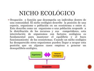  Ocupación o función que desempeña un individuo dentro de
una comunidad. El nicho ecológico describe la posición de una
especie, organismo o población en un ecosistema o entre sí.
Este describe como un organismo o una población responde a
la distribución de los recursos y sus competidores, esta
interrelación de organismos con factores ecológicos es
fundamental para mantener el equilibrio y el buen
funcionamiento de los ecosistemas. Cuando un nicho ecológico
ha desaparecido otros organismos pueden llegar a ocupar esta
posición que en algunos casos empieza a generar un
desequilibrio ecológico.
 