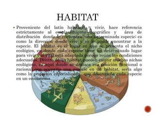  Proveniente del latín habitare = vivir, hace referencia
estrictamente al emplazamiento geográfico y área de
distribución donde se encuentra una determinada especie; es
como la dirección donde vive y se le puede encontrar a la
especie. El hábitat es el lugar en que se presenta el nicho
ecológico, en donde cada especie tiene un determinado lugar
para vivir y al cual está adaptada porque reúne las condiciones
adecuadas. Dentro de un hábitat pueden existir muchos nichos
ecológicos, es aquí donde se destaca esa posición funcional o
racional que ocuparía una especie en un hábitat, sería algo
como la profesión especializada que desempeña cada especie
en un ecosistema.
 
