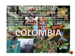 BIODIVERSIDAD
 Variedad de vida, lo cual incluye varios niveles de la
organización biológica, abarca diversidad de especies tales
como animales, plantas, hongos y microorganismos que
habitan en un espacio determinad. En otras palabras es la
amplia variedad de seres vivos que componen el paisaje y
regiones de los diferentes ecosistemas o del planeta tierra
porque no todos los ecosistemas son iguales.
 