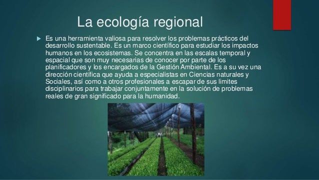 Ecologia