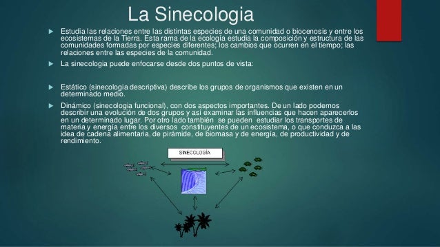 Ecologia