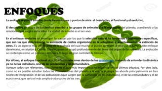 ENFOQUES
La ecología se puede estudiar desde tres enfoques o puntos de vista: el descriptivo, el funcional y el evolutivo.
El descriptivo se ocupa de justamente describir a los grupos de animales y a la vegetación del planeta, atendiendo a las
relaciones que surgen entre ellos. La unidad de estudio es el ser vivo.
En el enfoque evolutivo se investigan las causas por las que la selección natural ha favorecido adaptaciones específicas,
que son las que determinaron la existencia de ciertos organismos en la actualidad y, eventualmente, la extinción de
otros. Es un aspecto muy interesante de la ecología del cual mucho se puede aprender. A veces se le llama a este enfoque
darwiniano, en alusión a Charles Darwin, quien se ocupó profundamente del tema del origen de las especies. La evolución
se contempla como un proceso continuo a lo largo de gran cantidad de tiempo.
Por último, el enfoque funcional se ocupa de las relaciones dentro de los ecosistemas, tratando de entender la dinámica
ya no de los individuos, sino de las poblaciones y las comunidades.
Aunque todos son relevantes, este último es el que más importancia ha adquirido en las últimas décadas. Por otro lado,
como no es posible estudiar todas las interrelaciones del planeta a la vez, la ecología las aborda principalmente en tres
niveles de integración: el de las poblaciones (que surgen por la sumatoria de los individuos), el de las comunidades y el de
ecosistema, que sería el más amplio y abarcativo de los tres.
 