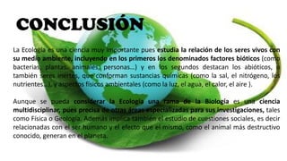 CONCLUSIÓN
La Ecología es una ciencia muy importante pues estudia la relación de los seres vivos con
su medio ambiente, incluyendo en los primeros los denominados factores bióticos (como
bacterias, plantas, animales, personas…) y en los segundos destacan los abióticos, o
también seres inertes, que conforman sustancias químicas (como la sal, el nitrógeno, los
nutrientes…), y aspectos físicos ambientales (como la luz, el agua, el calor, el aire ).
Aunque se pueda considerar la Ecología una rama de la Biología es una ciencia
multidisciplinar, pues precisa de otras áreas especializadas para sus investigaciones, tales
como Física o Geología. Además implica también el estudio de cuestiones sociales, es decir
relacionadas con el ser humano y el efecto que el mismo, como el animal más destructivo
conocido, generan en el planeta.
 