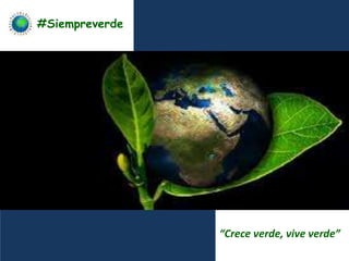 #Siempreverde
“Crece verde, vive verde”
 