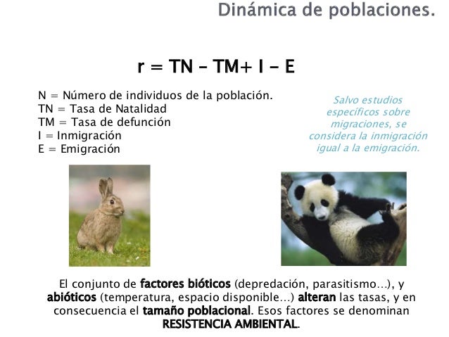 4ESO. Ecologia estructura y función del ecosistema.