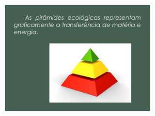 As pirâmides ecológicas representam
graficamente a transferência de matéria e
energia.
 