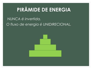 PIRÂMIDE DE ENERGIA
- NUNCA é invertida.
- O fluxo de energia é UNIDIRECIONAL.
 