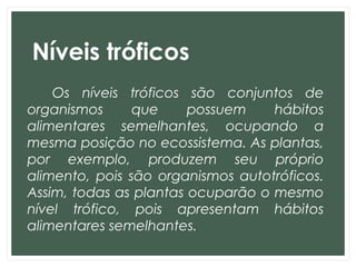 Níveis tróficos
Os níveis tróficos são conjuntos de
organismos que possuem hábitos
alimentares semelhantes, ocupando a
mesma posição no ecossistema. As plantas,
por exemplo, produzem seu próprio
alimento, pois são organismos autotróficos.
Assim, todas as plantas ocuparão o mesmo
nível trófico, pois apresentam hábitos
alimentares semelhantes.
 