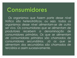 Consumidores
Os organismos que fazem parte desse nível
trófico são heterotróficos, ou seja, todos os
organismos desse nível alimentam-se de outro
ser vivo. Os consumidores que se alimentam de
produtores recebem a denominação de
consumidores primários. Os que se alimentam
de consumidores primários são chamados de
consumidores secundários. Já os que se
alimentam dos secundários são chamados de
terciários e assim sucessivamente.
 