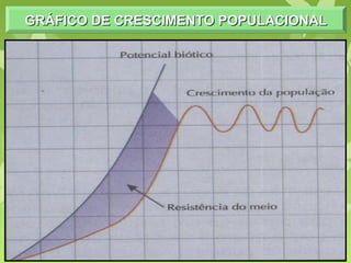 GRÁFICO DE CRESCIMENTO POPULACIONALGRÁFICO DE CRESCIMENTO POPULACIONALGRÁFICO DE CRESCIMENTO POPULACIONALGRÁFICO DE CRESCIMENTO POPULACIONAL
 