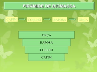 PIRÂMIDE DE BIOMASSAPIRÂMIDE DE BIOMASSAPIRÂMIDE DE BIOMASSAPIRÂMIDE DE BIOMASSA
CAPIM COELHO RAPOSA ONÇA
CAPIM
COELHO
RAPOSA
ONÇA
 