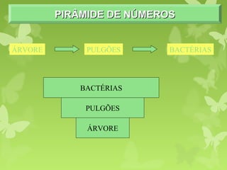 PIRÂMIDE DE NÚMEROSPIRÂMIDE DE NÚMEROSPIRÂMIDE DE NÚMEROSPIRÂMIDE DE NÚMEROS
ÁRVORE PULGÕES BACTÉRIAS
ÁRVORE
PULGÕES
BACTÉRIAS
 
