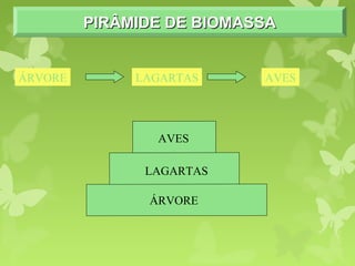 PIRÂMIDE DE BIOMASSAPIRÂMIDE DE BIOMASSAPIRÂMIDE DE BIOMASSAPIRÂMIDE DE BIOMASSA
ÁRVORE
LAGARTAS
AVES
ÁRVORE LAGARTAS AVES
 