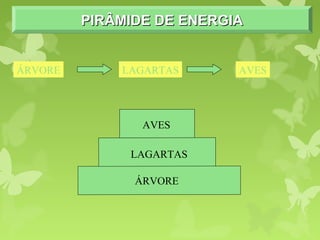 ÁRVORE
LAGARTAS
AVES
PIRÂMIDE DE ENERGIAPIRÂMIDE DE ENERGIAPIRÂMIDE DE ENERGIAPIRÂMIDE DE ENERGIA
ÁRVORE LAGARTAS AVES
 