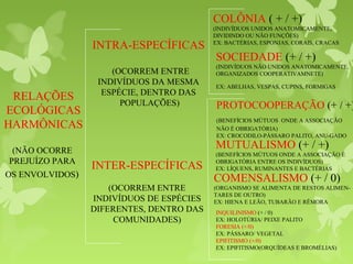 RELAÇÕES
ECOLÓGICAS
HARMÔNICAS
(NÃO OCORRE
PREJUÍZO PARA
OS ENVOLVIDOS)
INTER-ESPECÍFICAS
(OCORREM ENTRE
INDIVÍDUOS DE ESPÉCIES
DIFERENTES, DENTRO DAS
COMUNIDADES)
INTRA-ESPECÍFICAS
(OCORREM ENTRE
INDIVÍDUOS DA MESMA
ESPÉCIE, DENTRO DAS
POPULAÇÕES)
COLÔNIA ( + / +)
(INDIVÍDUOS UNIDOS ANATOMICAMENTE,
DIVIDINDO OU NÃO FUNÇÕES)
EX: BACTÉRIAS, ESPONJAS, CORAIS, CRACAS
SOCIEDADE (+ / +)
(INDIVÍDUOS NÃO UNIDOS ANATOMICAMENTE,
ORGANIZADOS COOPERATIVAMNETE)
EX: ABELHAS, VESPAS, CUPINS, FORMIGAS
PROTOCOOPERAÇÃO (+ / +)
(BENEFÍCIOS MÚTUOS ONDE A ASSOCIAÇÃO
NÃO É OBRIGATÓRIA)
EX: CROCODILO-PÁSSARO PALITO, ANU-GADO
MUTUALISMO (+ / +)
(BENEFÍCIOS MÚTUOS ONDE A ASSOCIAÇÃO É
OBRIGATÓRIA ENTRE OS INDIVÍDUOS)
EX: LÍQUENS, RUMINANTES E BACTÉRIAS
COMENSALISMO (+ / 0)
(ORGANISMO SE ALIMENTA DE RESTOS ALIMEN-
TARES DE OUTRO)
EX: HIENA E LEÃO, TUBARÃO E RÊMORA
INQUILINISMO (+ / 0)
EX: HOLOTÚRIA/ PEIXE PALITO
FORESIA (+/0)
EX: PÁSSARO/ VEGETAL
EPIFITISMO (+/0)
EX: EPIFITISMO(ORQUÍDEAS E BROMÉLIAS)
 